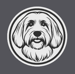 Coton De Tulear Coaster
