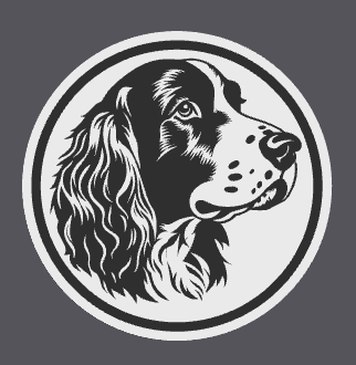 Welsh Springer Spaniel Coaster