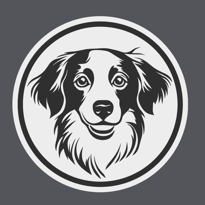 Kooikerhondje Coaster