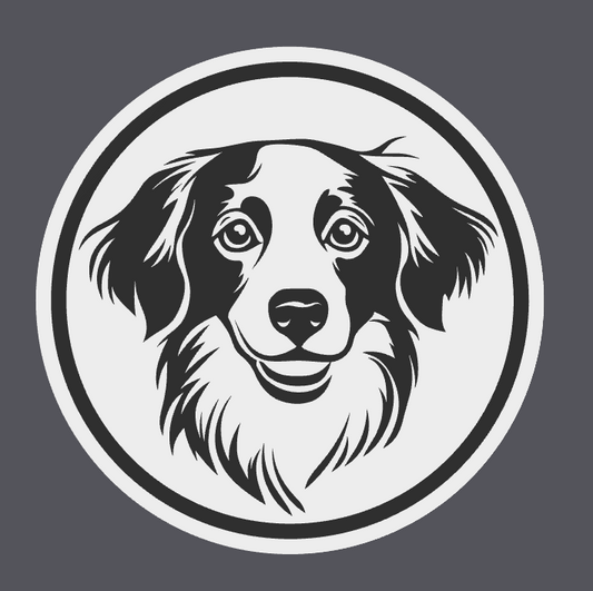 Kooikerhondje Coaster