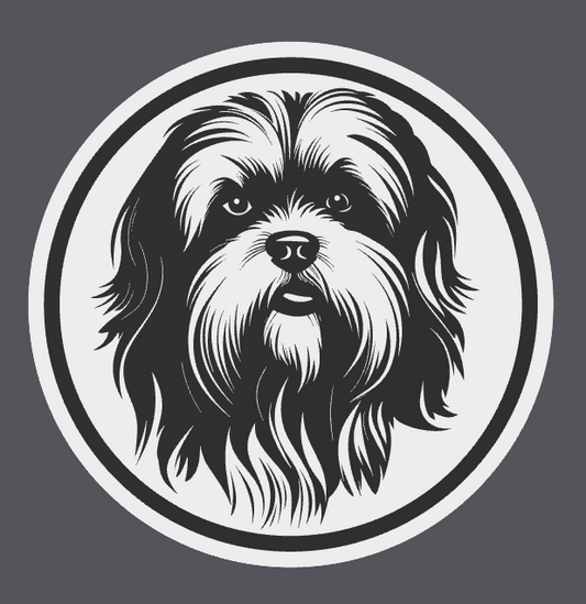 Lhasa Apso Coaster