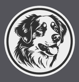 Nova Scotia Duck Tolling Retriever Coaster